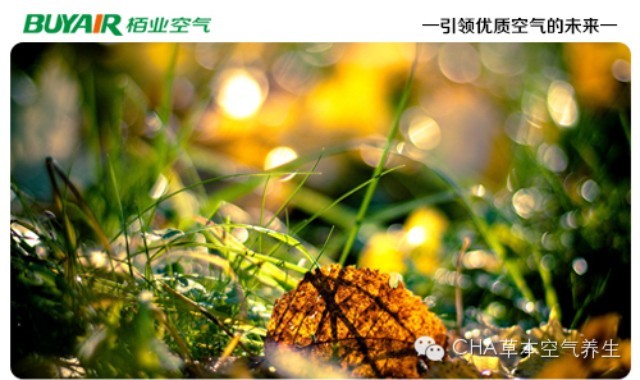步入秋天，空氣凈化器不可或缺