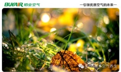 步入秋天，空氣凈化器不可或缺